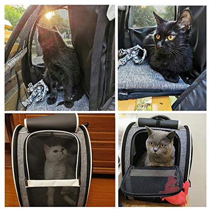 Texsens Innovative Traveler Bubble Backpack Pet Carriers for Cats and Dogs (Black)