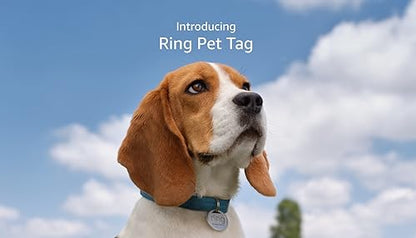 Introducing Ring Pet Tag | Easy-to-use tag with QR code | Real-time scan alerts | Shareable Pet Profile | No subscription or fees