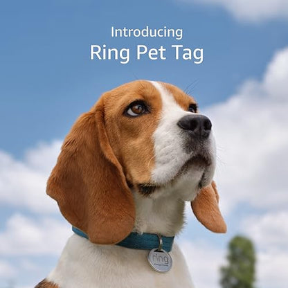 Introducing Ring Pet Tag | Easy-to-use tag with QR code | Real-time scan alerts | Shareable Pet Profile | No subscription or fees