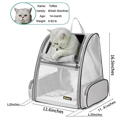 Texsens Innovative Traveler Bubble Backpack Pet Carriers for Cats and Dogs (Black)