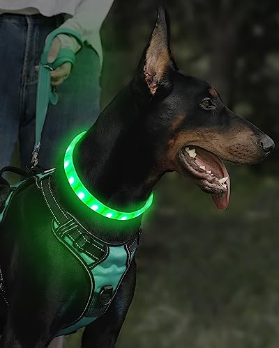 Joytale Light Up Dog Collars, Cuttable Rainproof LED Dog Collar, 9 Flashing Modes, Soft Silicone Glow Collar for Dogs Night Safety, Lightweight USB Rechargeable Collar for Large Medium Small Dogs