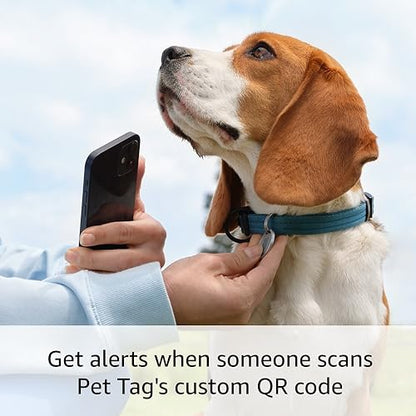 Introducing Ring Pet Tag | Easy-to-use tag with QR code | Real-time scan alerts | Shareable Pet Profile | No subscription or fees