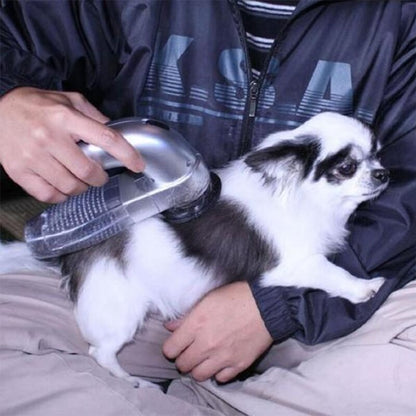 Best handheld vacuum for pet hair