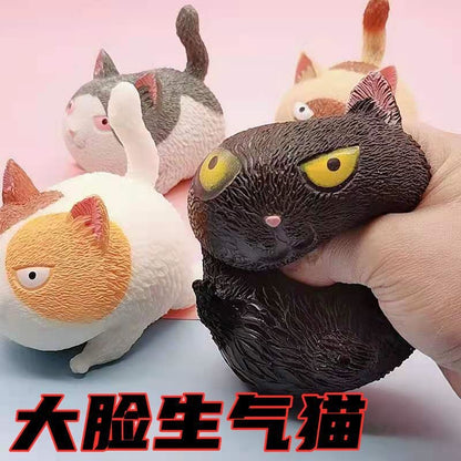 Creative Decompression Big Face Cat Toy