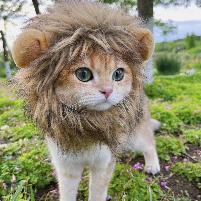 Pet simulation lion mane