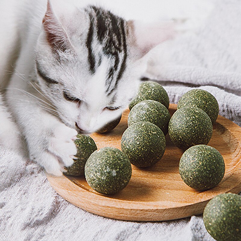 Catnip Wall Ball