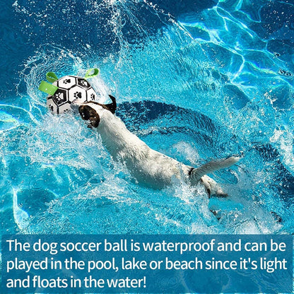 Soccer Ball Dog Toy