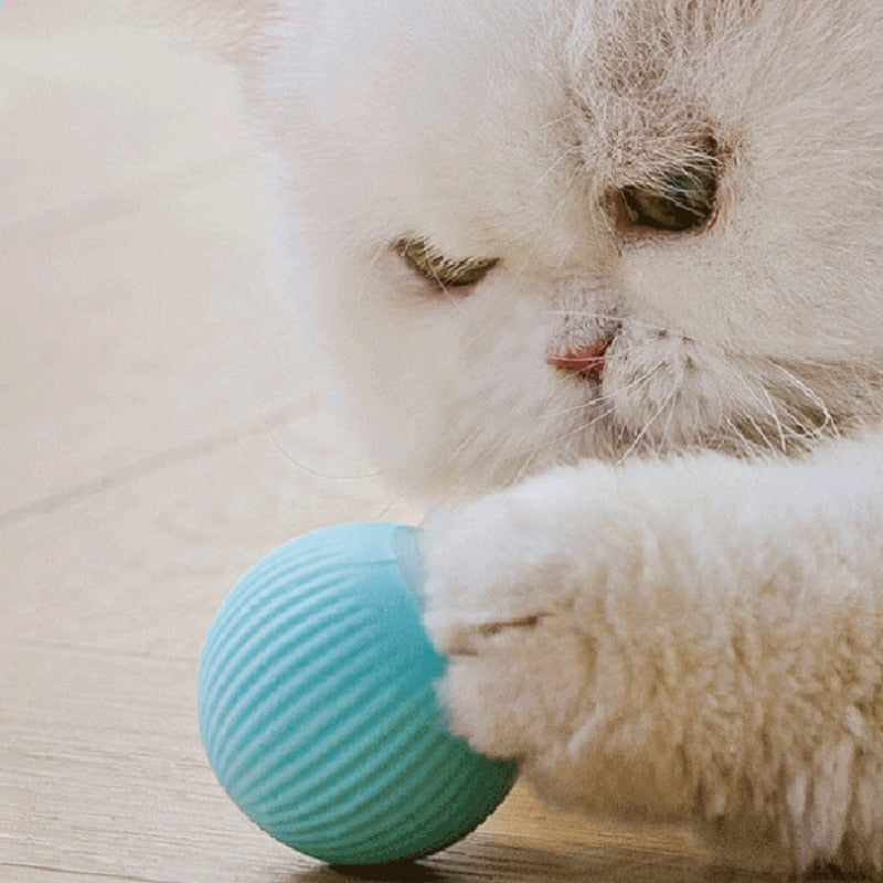 Automatic Rolling Electric Cat Ball Toy