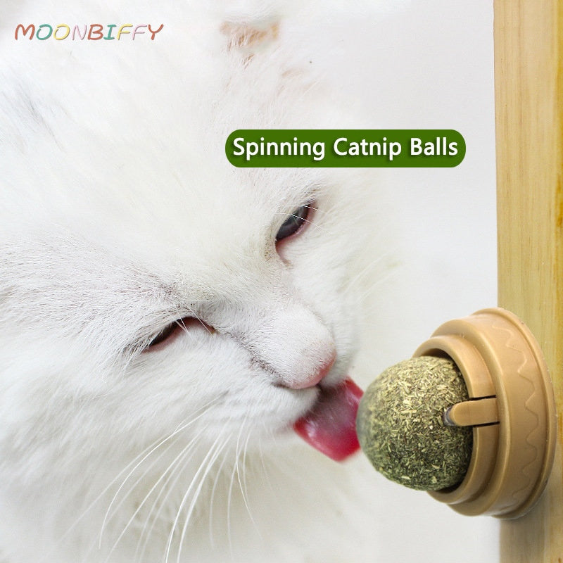 Catnip Wall Ball